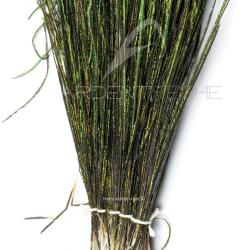 Paon herls de queue naturel