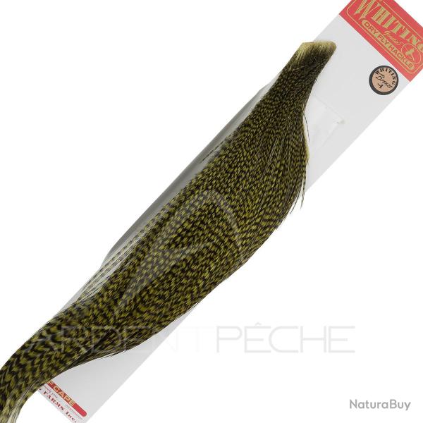 1/2 cous de coq WHITING bronze Grizzly teint� Olive fonc�