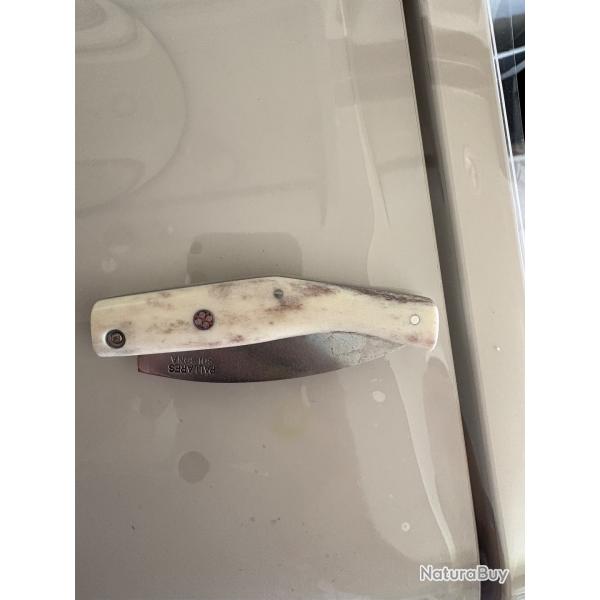 Pallares solsona cerf