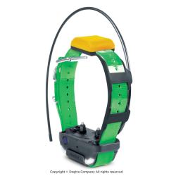 Collier suppl&eacute;mentaire Dogtra pathfinder 2 Orange