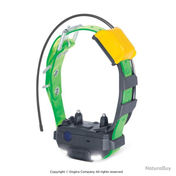 Collier suppl�mentaire Dogtra pathfinder 2 mini Vert