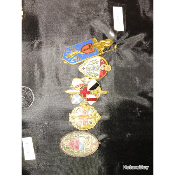 insigne militaire sante