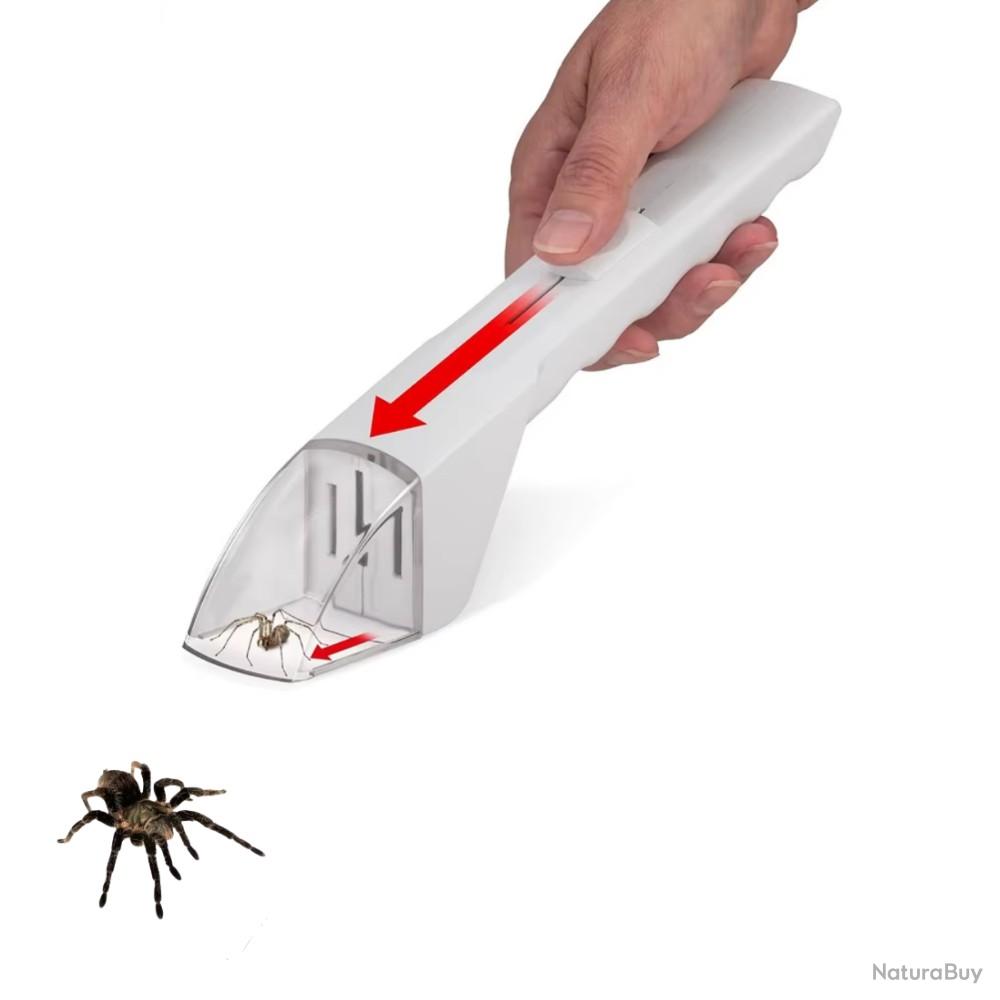 TAIHOBO Attrape-araignées portable à long manche pour enfants, attrape-insectes avec loupe, outil de capture de mouches pour enfants pour observer et TAIHOBO Attrape-araignées portable à long manche pour enfants, attrape-insectes avec loupe, outil de capture de mouches pour enfants pour observer et