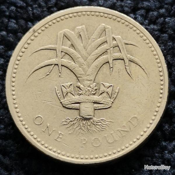 Monnaie Royaume-Uni - 1990 - 1 livre Elizabeth II 3e effigie (Grade : TB) - Ref N1154