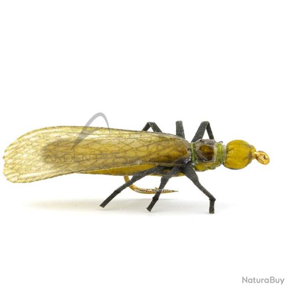 Mouche r�aliste Stonefly dry II Skwala H8
