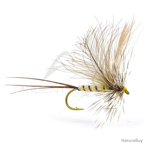 Mouche Igor et Nadica Stancev CDC hackle mayfly H12
