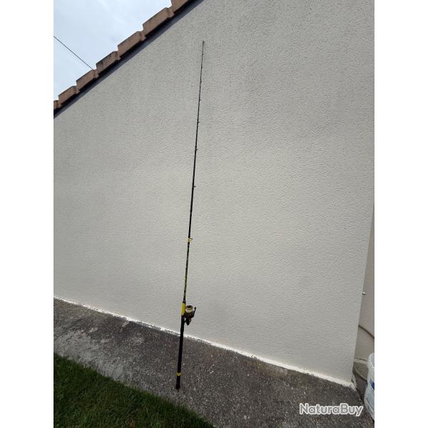 Ensemble Canne Moulinet P�che Silure