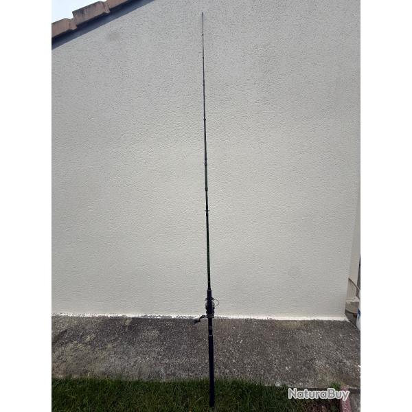 Ensemble Canne Moulinet Pche Silure DAM