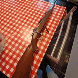 Carabine Parker hale 270w