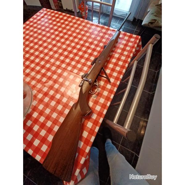 Carabine Parker hale 270w