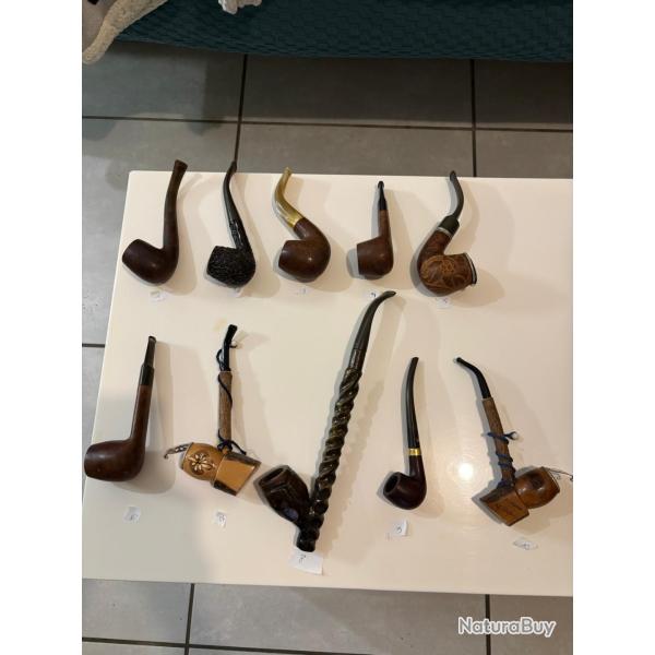 Lot de 10 Pipes de Collection