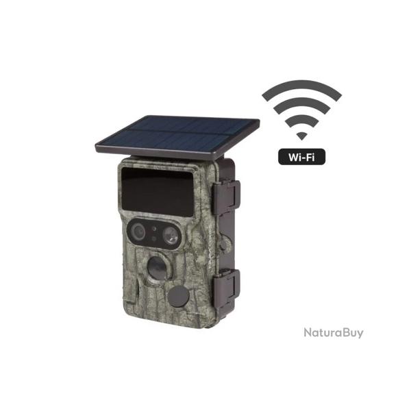 NUM'AXES - PIGE PHOTOGRAPHIQUE PIE1073 AVEC PANNEAU SOLAIRE INTGR