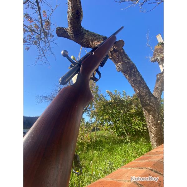 Fusil � chargeur goose gun