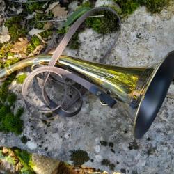 Trompe / Corne Milliens  de 33 cm