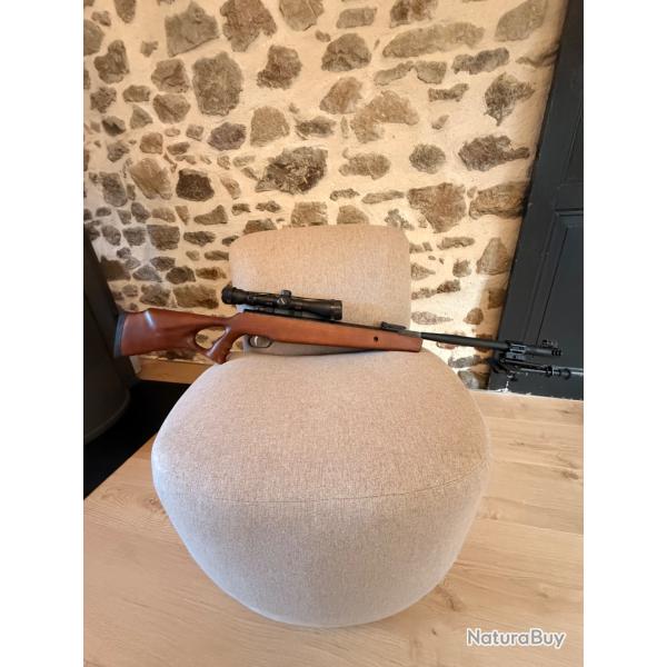 Carabine plomb 20J avec lunette de precision et boite de transport