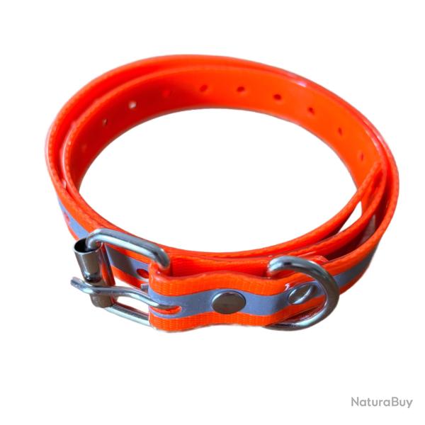 Collier chien type epagneul