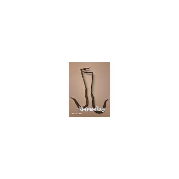 Lot de 2 crochets de couvreur pour �chelle de toit en zinc , avec une pointe             Crochets an