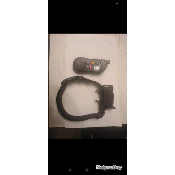 Collier dressage petsafe