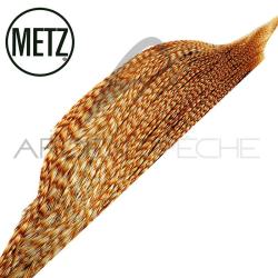 1/2 cous de coq METZ grade 3 chinchilla roux