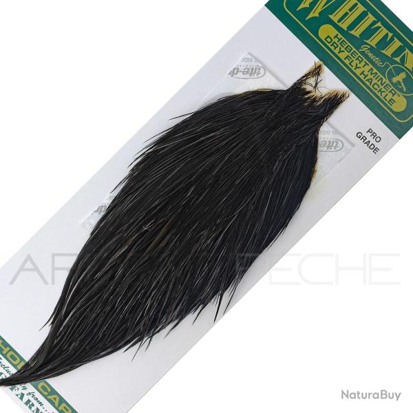 Cous de coq Whiting HEBERT Pro Grade Noir