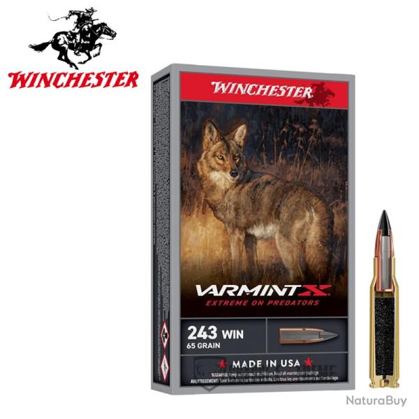20 Munitions WINCHESTER Cal 243 Win 65gr Varmint X