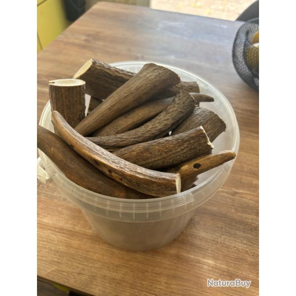 Morceaux de bois de cerf