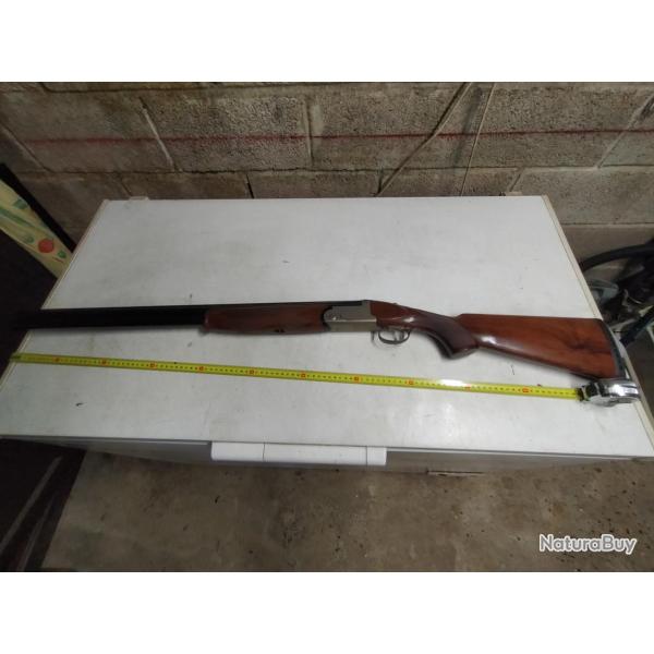 UN superpos RIZZINI BR110 light 12/76/71