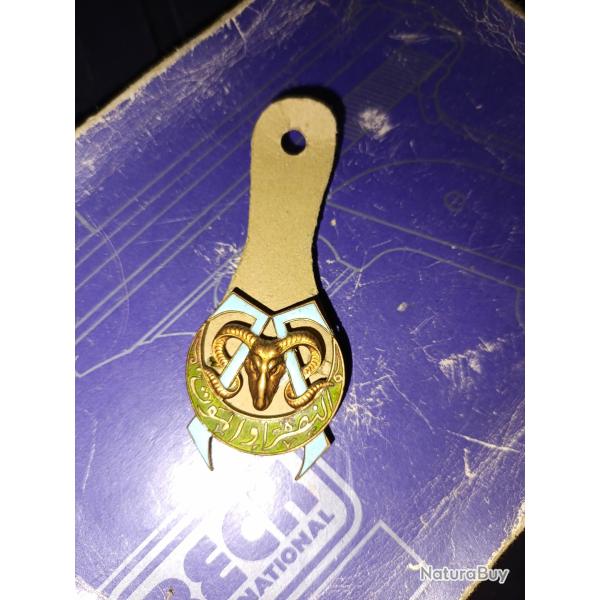 Insigne 7eme rgiment tirailleurs algriens