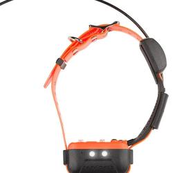 Collier suppl&eacute;mentaire Num'Axes Canicom GPS 2