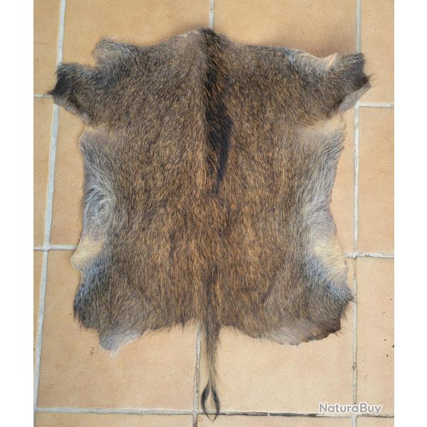 Peau de sanglier