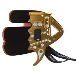 Palette recurve olympique Avalon Tec S RH Gold