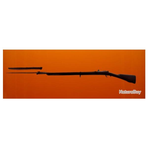 FUSIL Bataillon Scolaire, Type carabine GRAS. ANDREUX.avec sa baonnette.