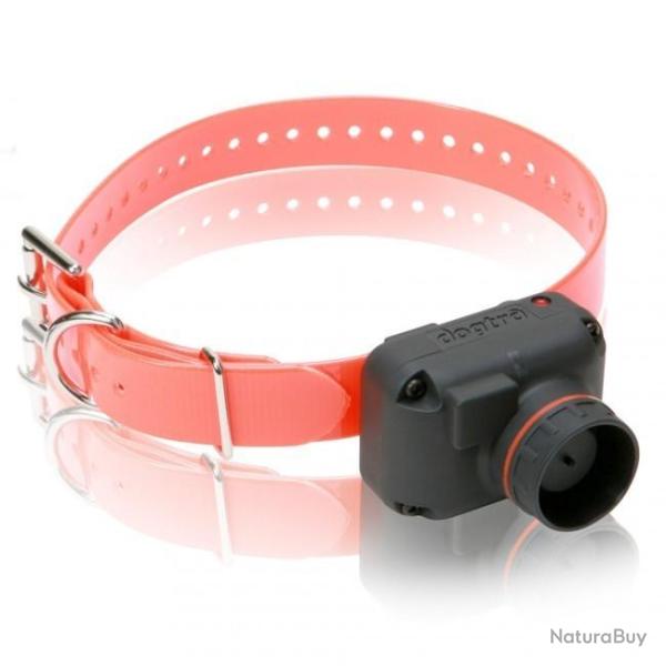 COLLIER DE REPRAGE SPORTDOG DOGTRA STB BEEP H - SON AIGU