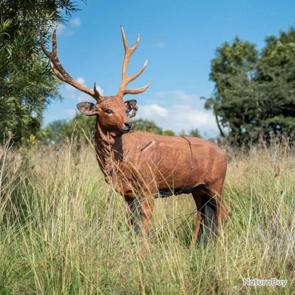 Cible 3D Wildcrete Red Deer