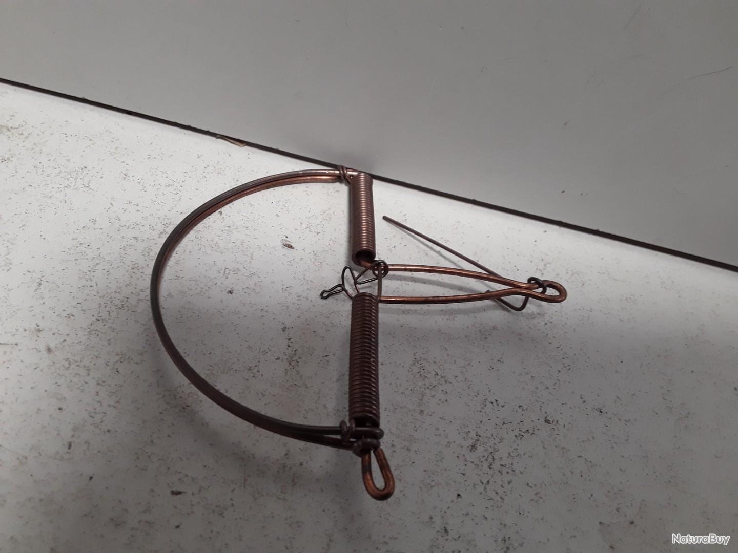 Piege a grive rond diam.15cm Pièges à oiseaux (14398939) — free download
