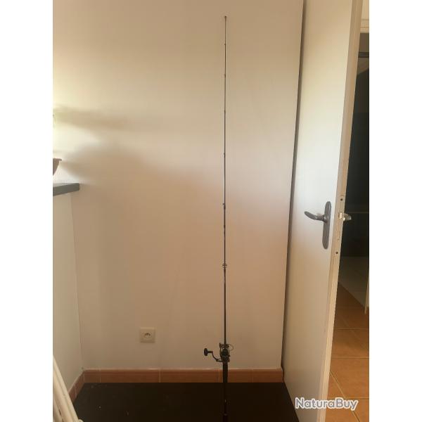 Canne Daiwa Prorex et Moulinet Legalis