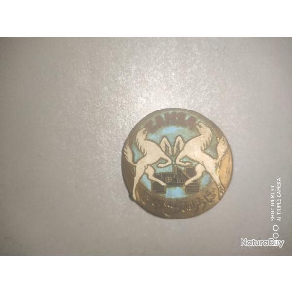 Insigne Escadron de marche autonome des spahis algriens " Guerre d'algrie"