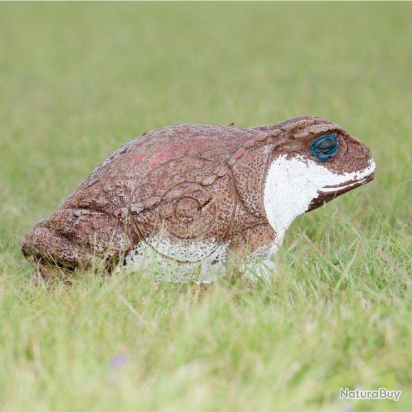 Cible 3D Wildcrete Cane Toad