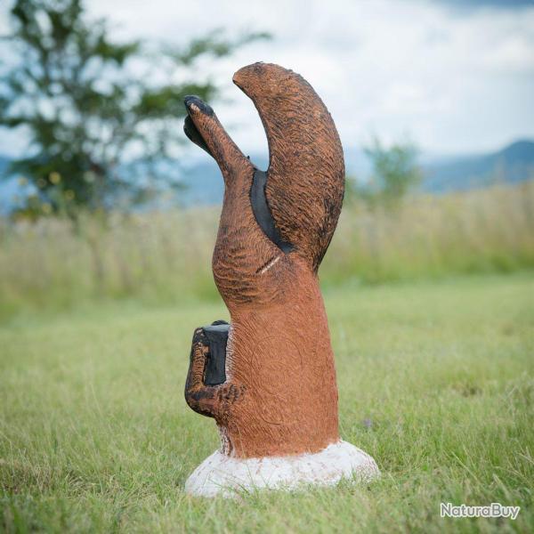 Cible 3D Wildcrete Fox Digging