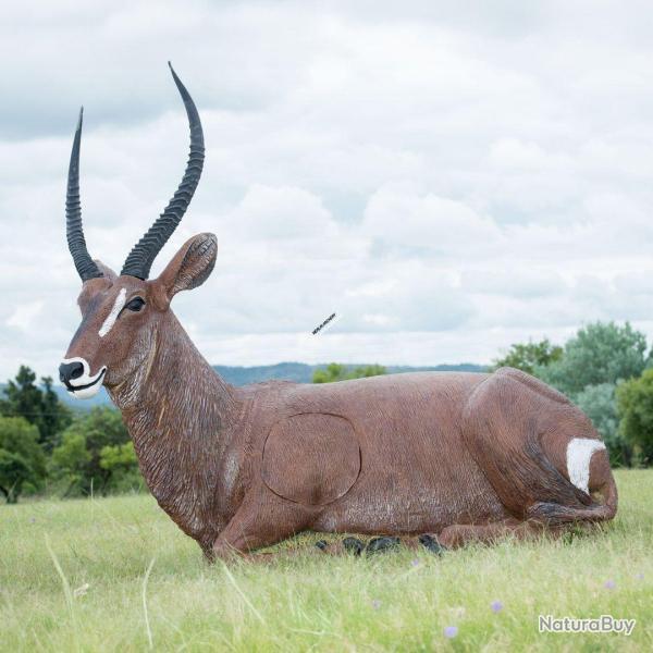 Cible 3D Wildcrete Waterbuck