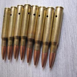 Lot de 8 Douilles neutralis&eacute;e de 30.06