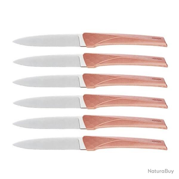 Coffret 6 couteaux de table Florinox "Kiana" rouge Terracotta KIA6.T