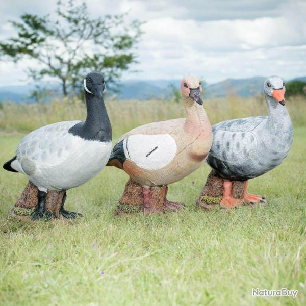 Cible 3D Wildcrete Egyptian Goose - Marron