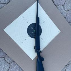 Remington 700. Calibre 300 Winchester