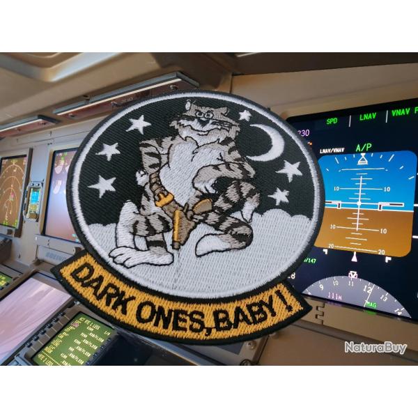 US NAVY VFA-31 Escadron Chasseurs d'attaque F14 TOMCAT DARK 4a.