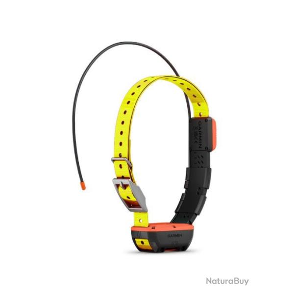 COLLIER SUPPLEMENTAIRE T20 F GARMIN