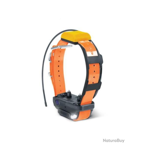 COLLIER SUPPLEMENTAIRE DOGTRA PATHFINDER 2 ORANGE
