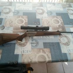 Blaser r93 gaucher