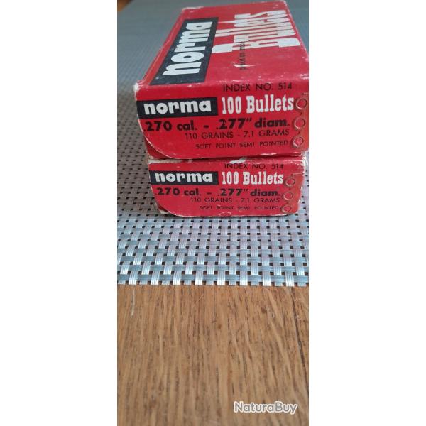 Ogives 270 Norma
