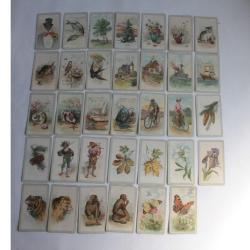 Jeu de cartes illustrée Schwarzer Peter Dondorf 1890